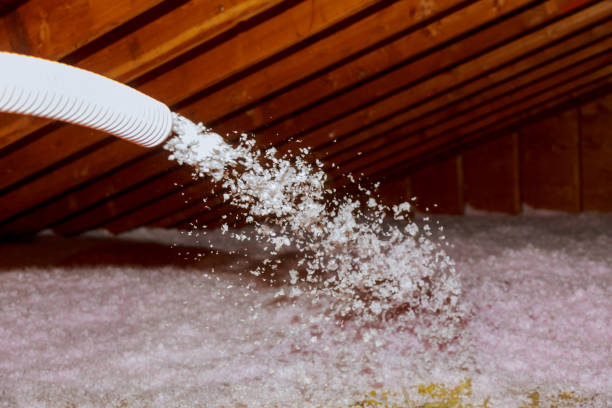 Best Residential Insulation in Ballenger Creek, MD