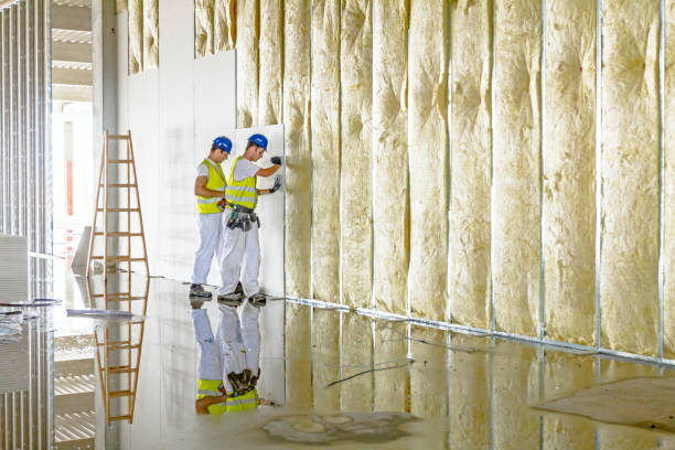 Types of Insulation We Offer in Ballenger Creek, MD